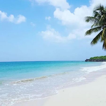 - Les Pieds Dans L'Eau A 50M De La Plage, Cote Mer Caraibe - Domaine De L'Anse Caritan - Sainte-Anne - Bagian luar foto