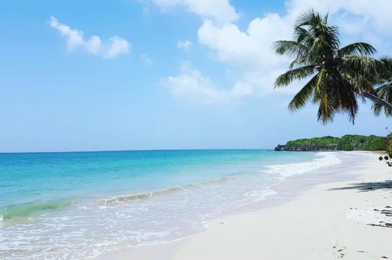 - Les Pieds Dans L'Eau A 50M De La Plage, Cote Mer Caraibe - Domaine De L'Anse Caritan - Sainte-Anne - Bagian luar foto