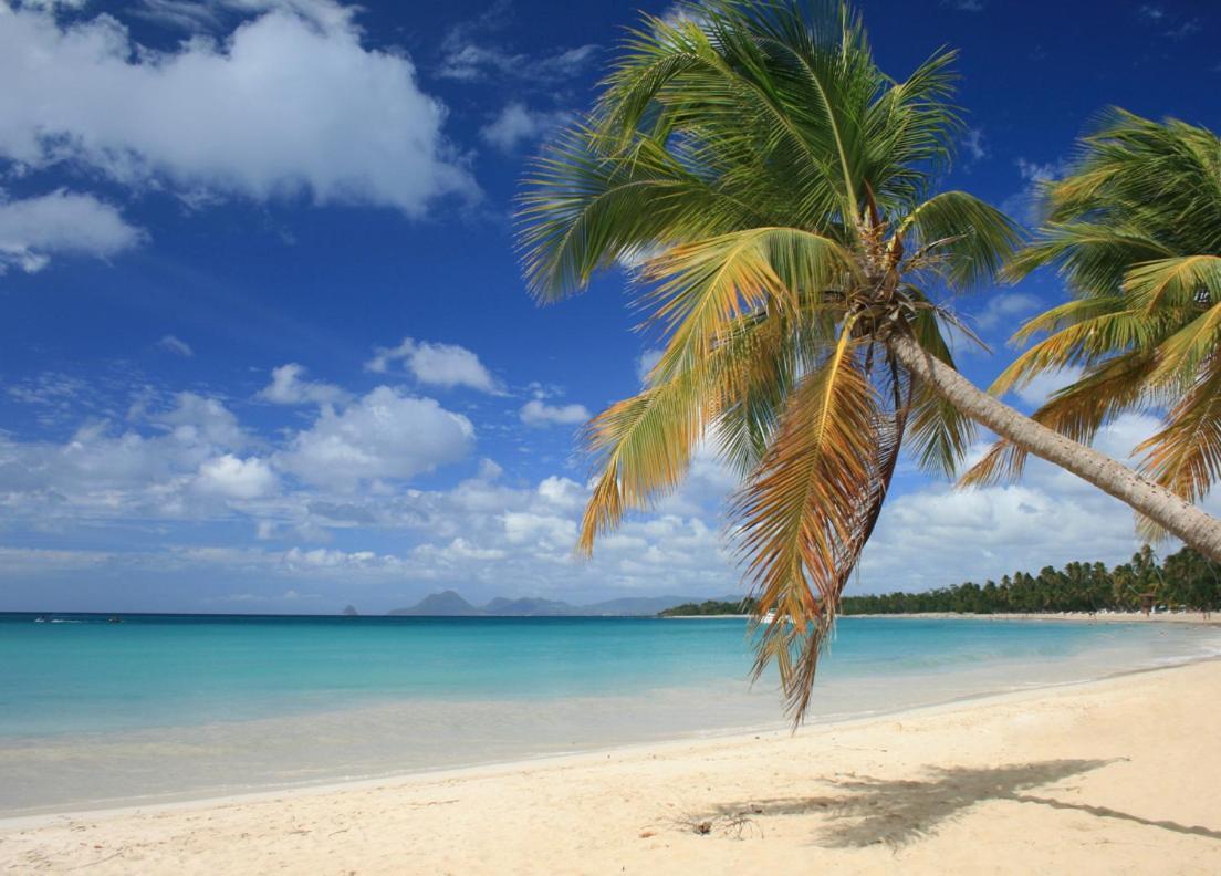 - Les Pieds Dans L'Eau A 50M De La Plage, Cote Mer Caraibe - Domaine De L'Anse Caritan - Sainte-Anne - Bagian luar foto