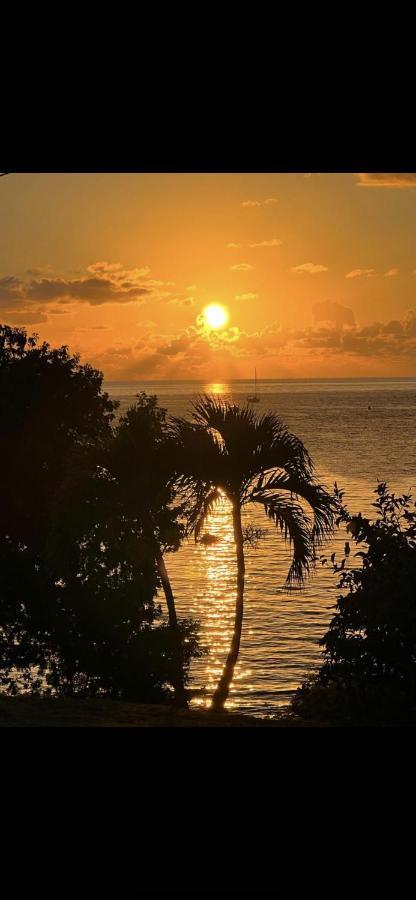 - Les Pieds Dans L'Eau A 50M De La Plage, Cote Mer Caraibe - Domaine De L'Anse Caritan - Sainte-Anne - Bagian luar foto